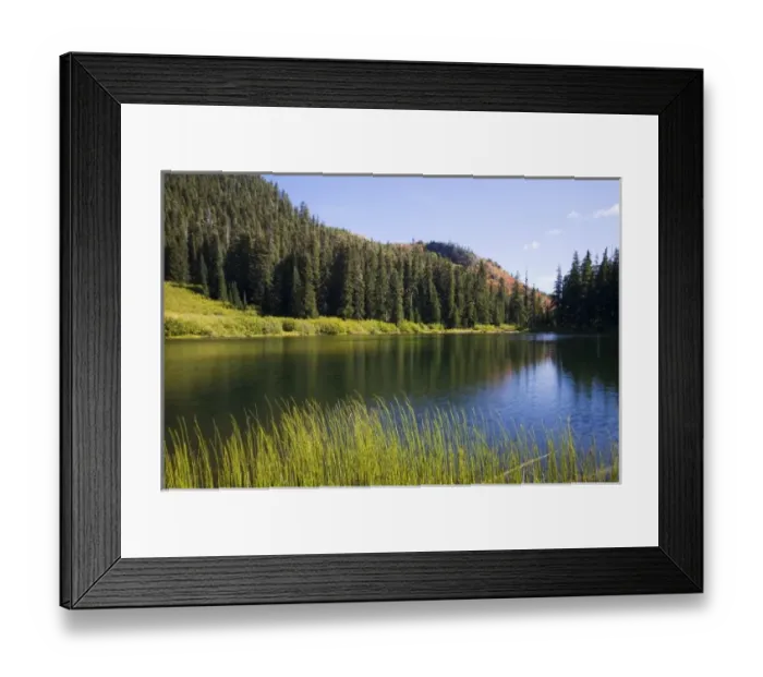 Framed Print : WA, Mount Baker Snoqualmie National Forest, Cottonwood Lake