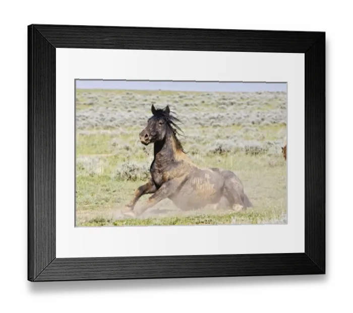 Framed Print : USA, North America, Wyoming Framed Print : USA, North America, Wyoming