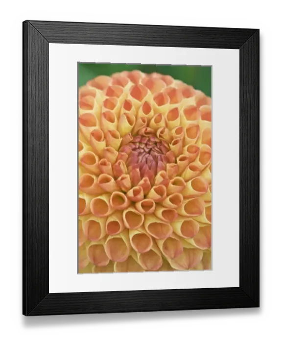 Framed Print : USA, North America, Washington