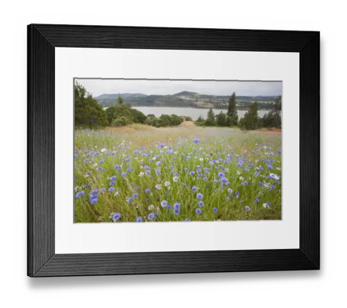 Framed Print : USA, North America, Washington Framed Print : USA, North America, Washington