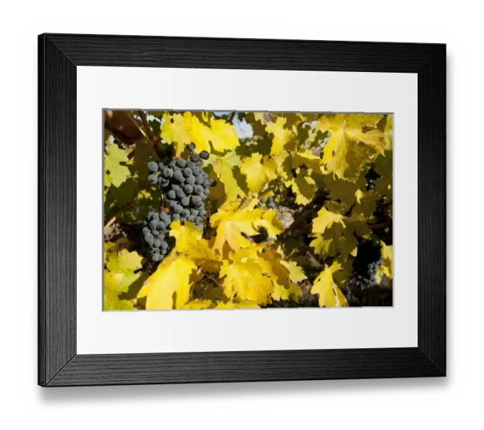 Framed Print : USA, North America, Washington Framed Print : USA, North America, Washington