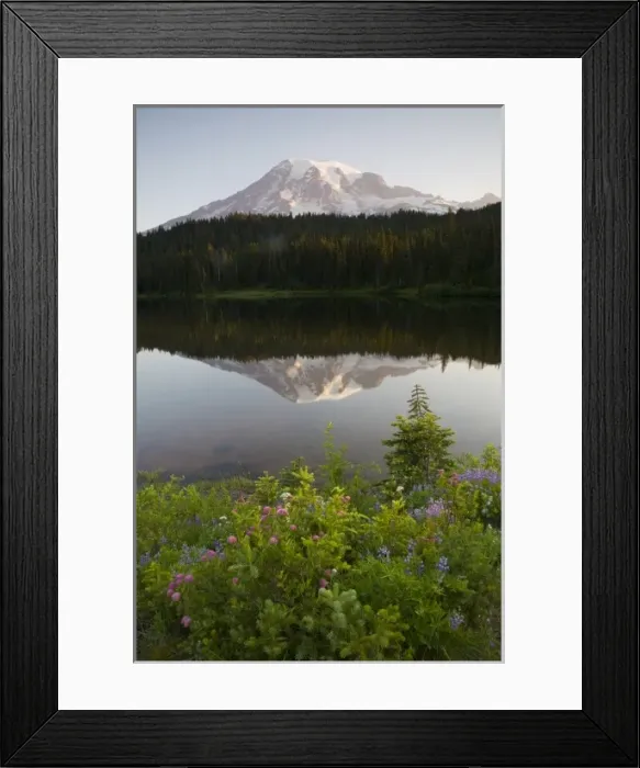 Framed Print : WA, Mount Rainier National Park, Mt. Rainier reflected in Reflection Lake Framed Print : WA, Mount Rainier National Park, Mt. Rainier reflected in Reflection Lake