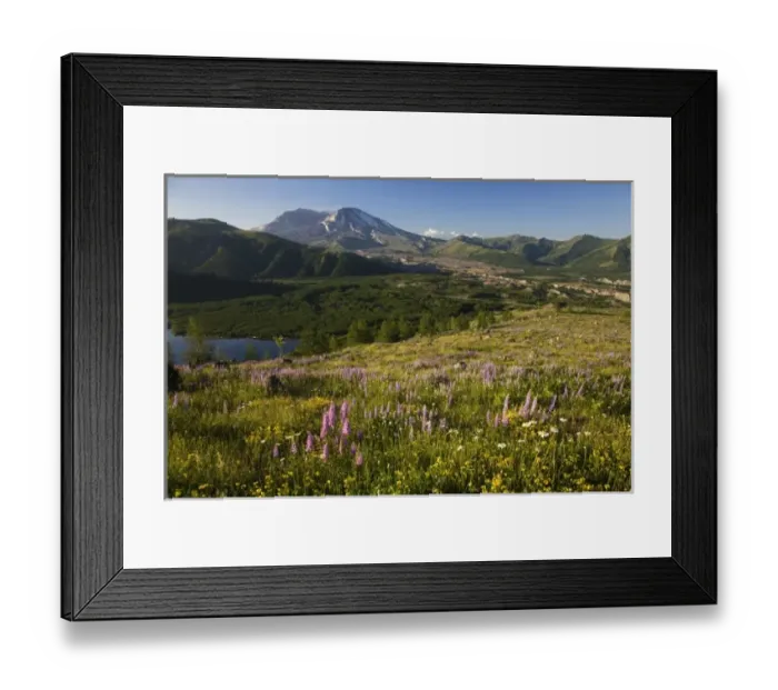 Framed Print : USA, North America, Washington Framed Print : USA, North America, Washington