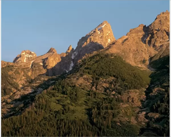 USA, Wyoming, Grand Teton NP. Forests reach almost to the flanks of the Grand Tetons