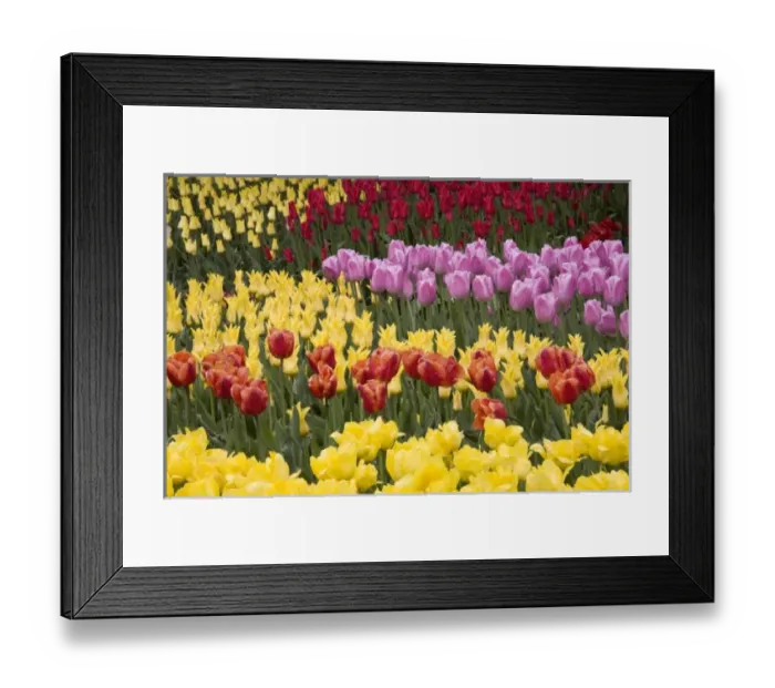 Framed Print : USA, North America, Washington Framed Print : USA, North America, Washington