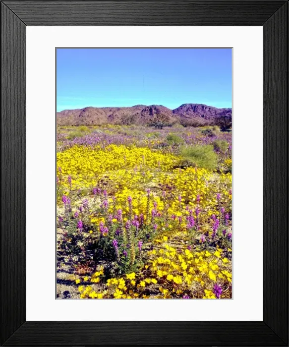 Framed Print : USA, North America, Washington