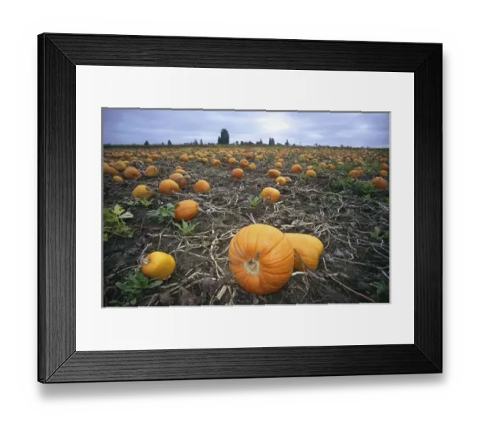 Framed Print : USA, North America, Washington Framed Print : USA, North America, Washington