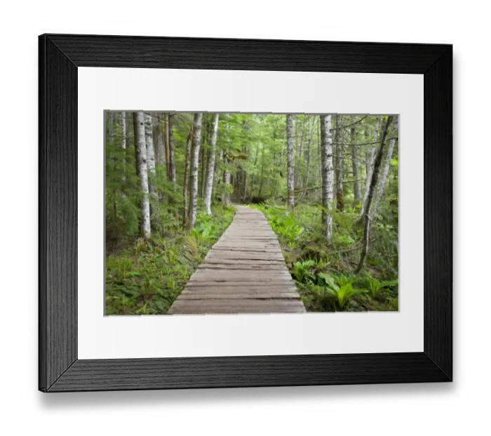 Framed Print : USA, North America, Washington Framed Print : USA, North America, Washington