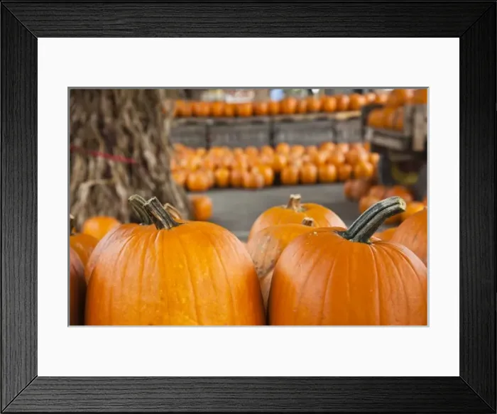 Framed Print : USA, North America, West Virginia Framed Print : USA, North America, West Virginia