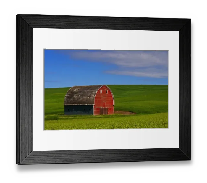 Framed Print : Viewing a red barn while traveling through Union Town in Washington State