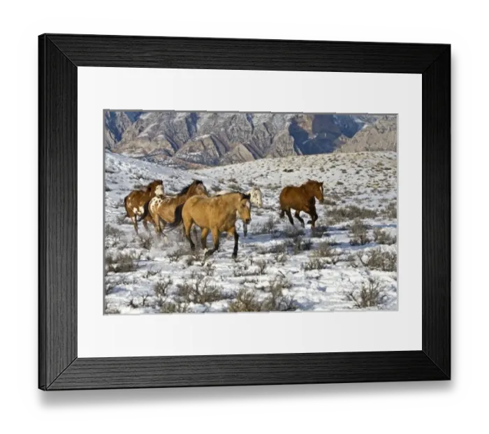 Framed Print : USA, North America, Wyoming Framed Print : USA, North America, Wyoming