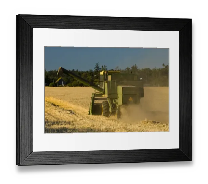 Framed Print : USA, WA, Whidbey Island, Crockett Prairie. Active agriculture community in Ebey s
