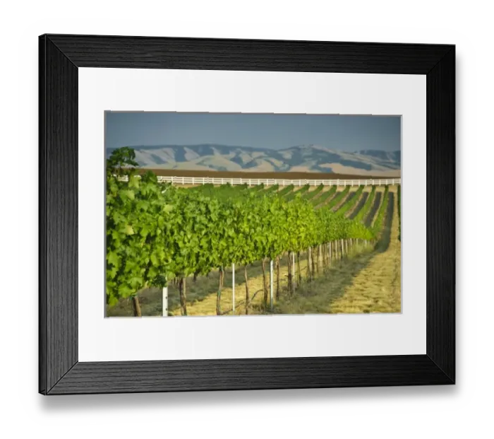 Framed Print : USA, North America, Washington Framed Print : USA, North America, Washington