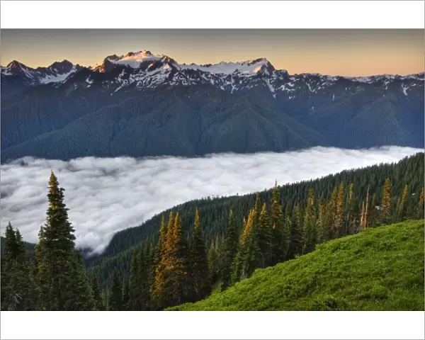 USA, Washington, Olympic National Park. View of Mt. Olympus from the High Divide
