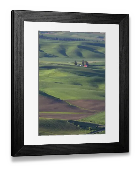 Framed Print : USA, Washington, Whitman County, Palouse Farmland, view from Steptoe Butte