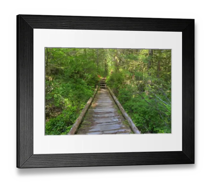 Framed Print : USA, Washington, Olympic National Park, Cape Alava trail, cedar boardwalk Framed Print : USA, Washington, Olympic National Park, Cape Alava trail, cedar boardwalk