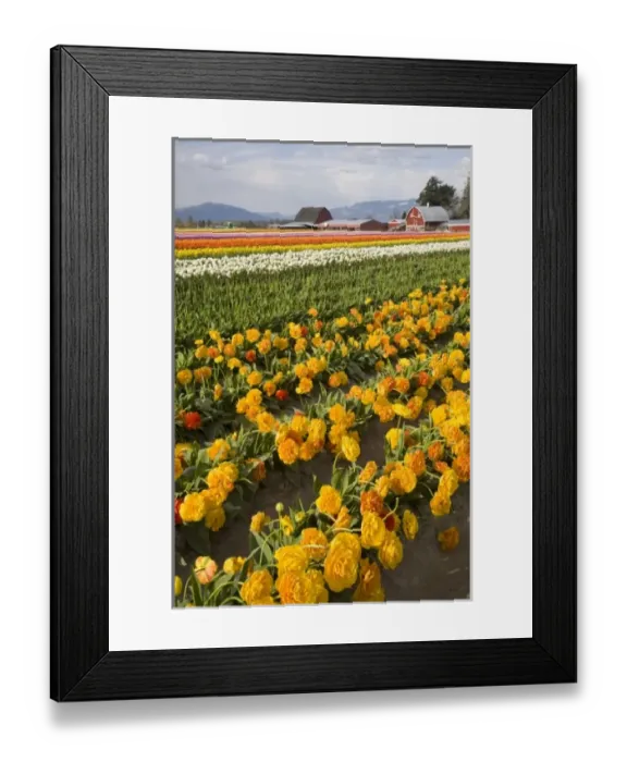 Framed Print : USA, North America, Washington Framed Print : USA, North America, Washington