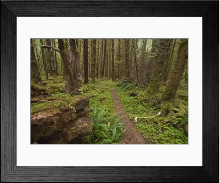 Framed Print : USA, North America, Washington Framed Print : USA, North America, Washington
