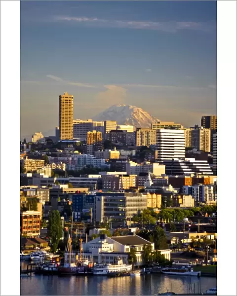 USA, Washington, Seattle. Mt. Rainier looms large over downtown Seattle on Lake Union