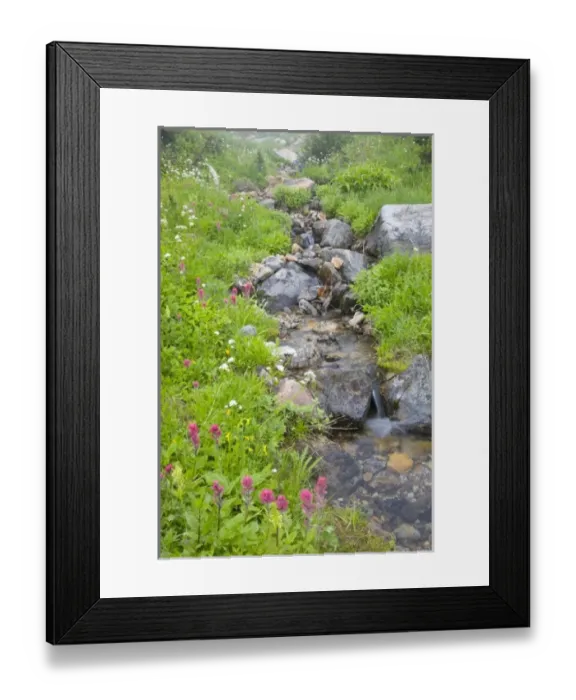 Framed Print : USA, North America, Washington