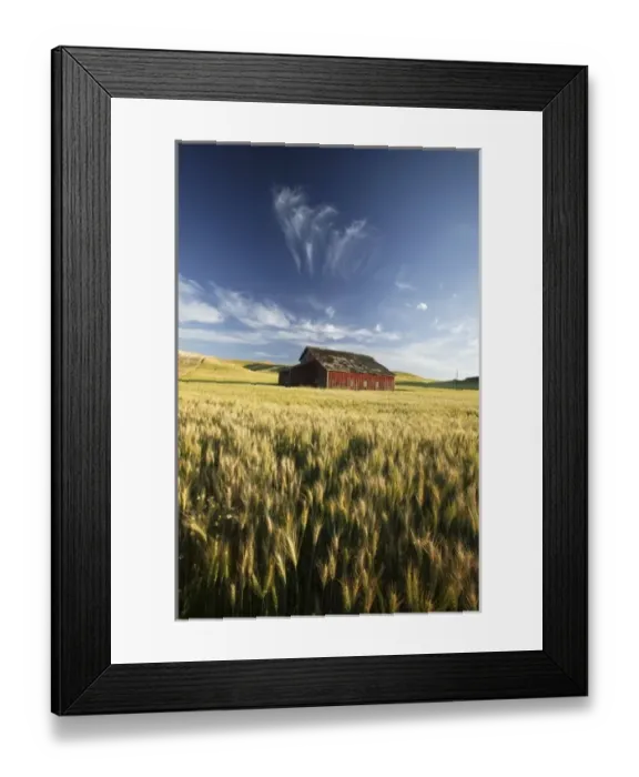Framed Print : NA, USA, Washington State, Saint John, Red Barn in Harvest Time Wheat Field. PR Framed Print : NA, USA, Washington State, Saint John, Red Barn in Harvest Time Wheat Field. PR