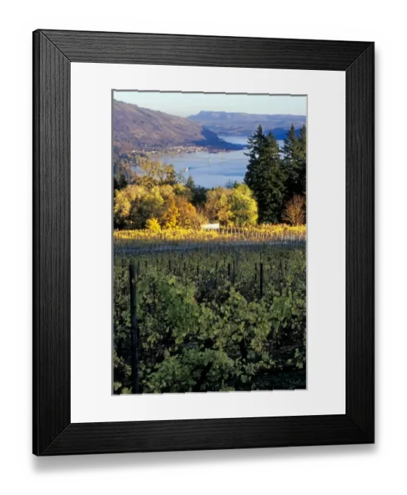 Framed Print : USA, North America, Washington Framed Print : USA, North America, Washington