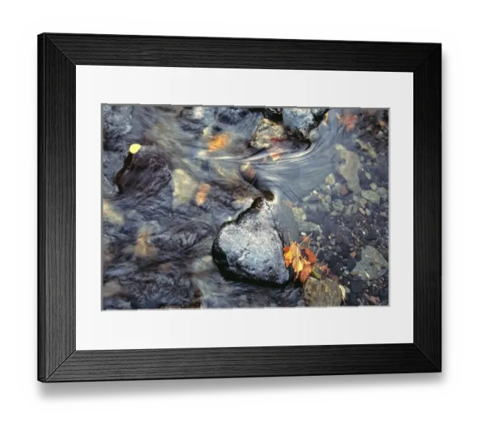 Framed Print : USA, Washington State, Dryden Creek. Dryden Creek creates a variety of color Framed Print : USA, Washington State, Dryden Creek. Dryden Creek creates a variety of color