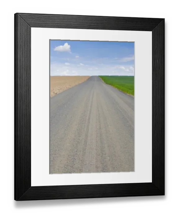 Framed Print : USA, Washington State. Empty country road with wheat growing on one side and bare Framed Print : USA, Washington State. Empty country road with wheat growing on one side and bare