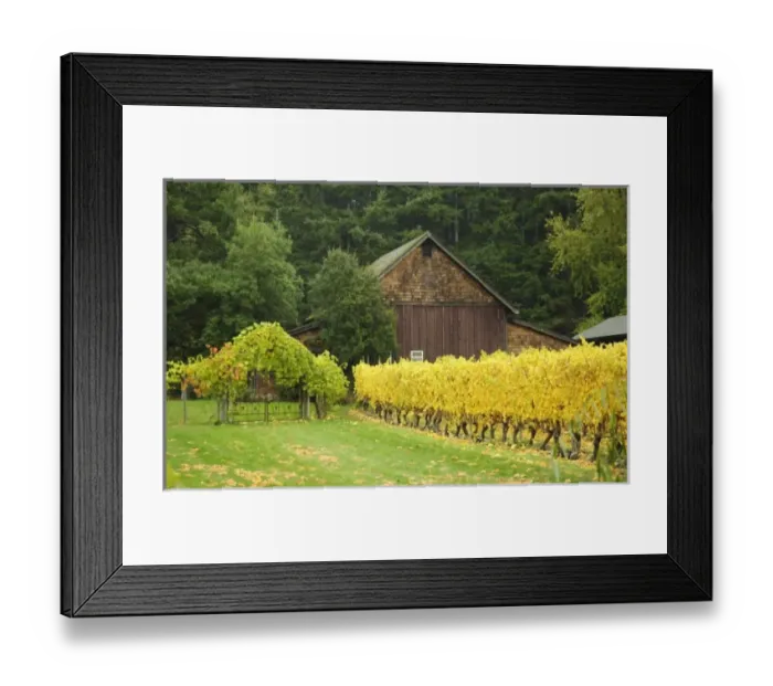 Framed Print : USA, North America, Washington Framed Print : USA, North America, Washington