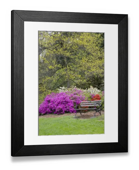 Framed Print : USA, North America, Washington