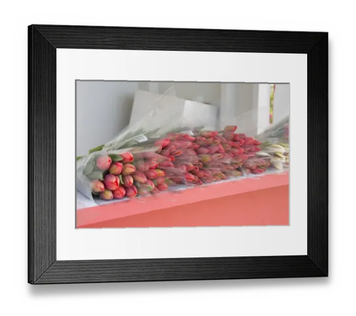Framed Print : WA, Skagit Valley, Tulips for sale Framed Print : WA, Skagit Valley, Tulips for sale