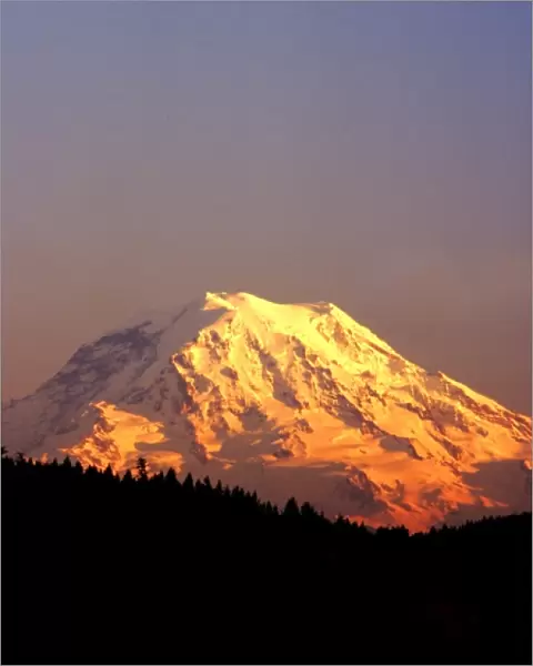 Mt. Rainier is bathed in the setting sun