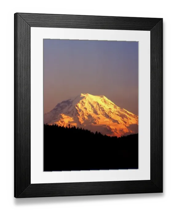 Framed Print : Mt. Rainier is bathed in the setting sun Framed Print : Mt. Rainier is bathed in the setting sun