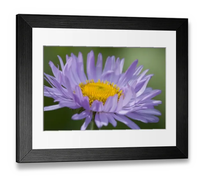 Framed Print : USA, North America, Washington