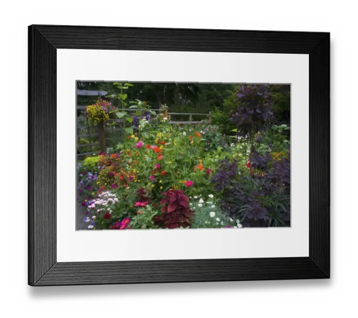 Framed Print : Flower Garden designs - Sammamish, Washington Framed Print : Flower Garden designs - Sammamish, Washington