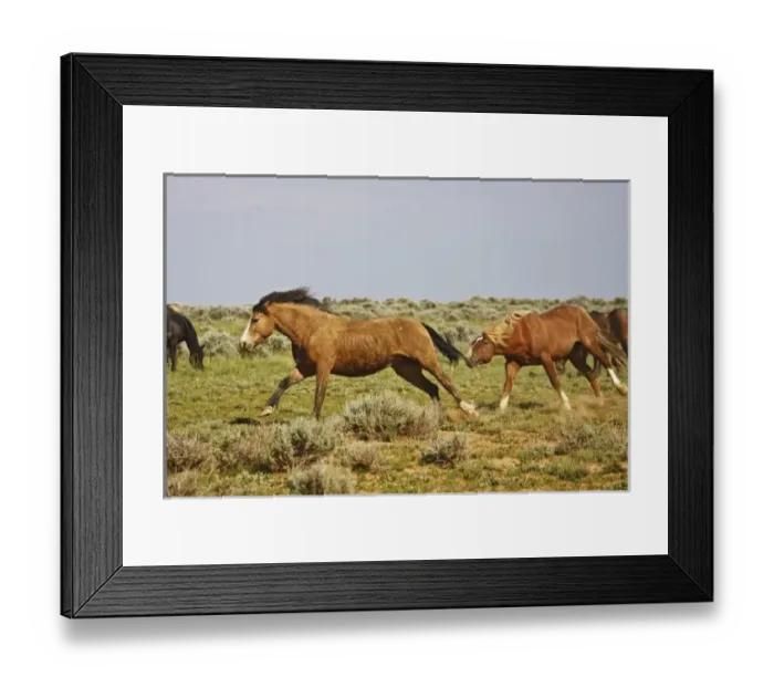 Framed Print : USA, North America, Wyoming Framed Print : USA, North America, Wyoming