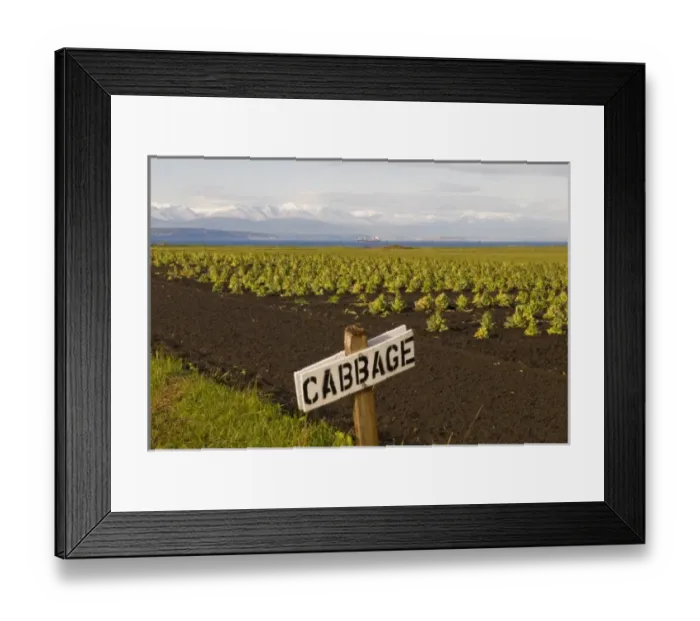 Framed Print : USA, North America, Washington Framed Print : USA, North America, Washington