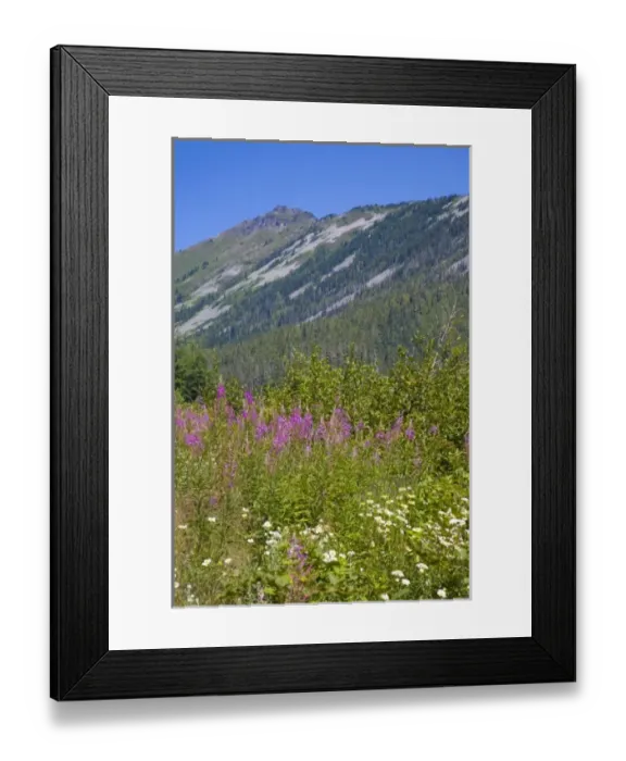 Framed Print : NA, WA, Wild Sky Wilderness, view toward Townsend Mountain