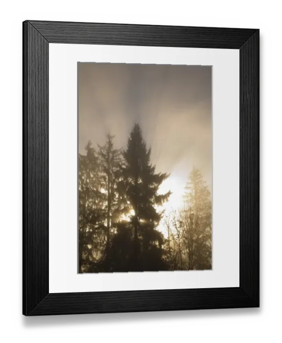 Framed Print : USA, North America, Washington Framed Print : USA, North America, Washington