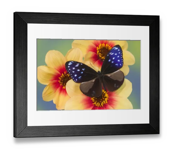 Framed Print : USA, North America, Washington Framed Print : USA, North America, Washington