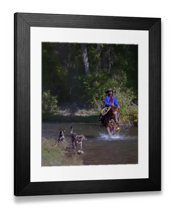 Framed Print : A cowboy running a river with his dogs in Shell Wyoming