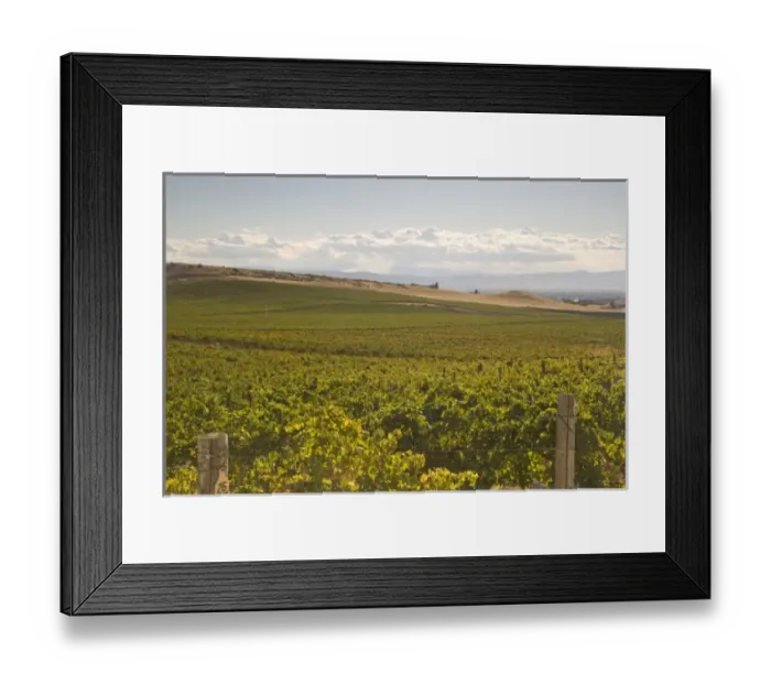 Framed Print : USA, North America, Washington Framed Print : USA, North America, Washington