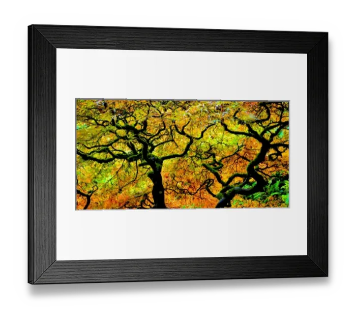 Framed Print : USA, North America, Washington