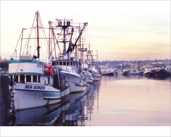 Fishing trawler in harbor in Seattle, Washington
