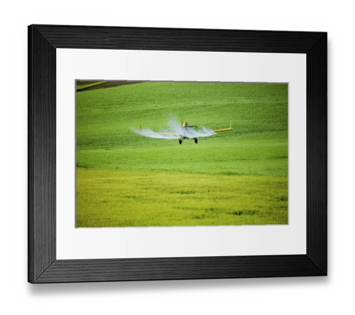Framed Print : USA, North America, Washington Framed Print : USA, North America, Washington