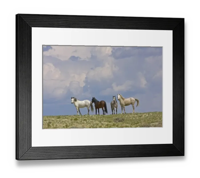 Framed Print : USA, North America, Wyoming Framed Print : USA, North America, Wyoming