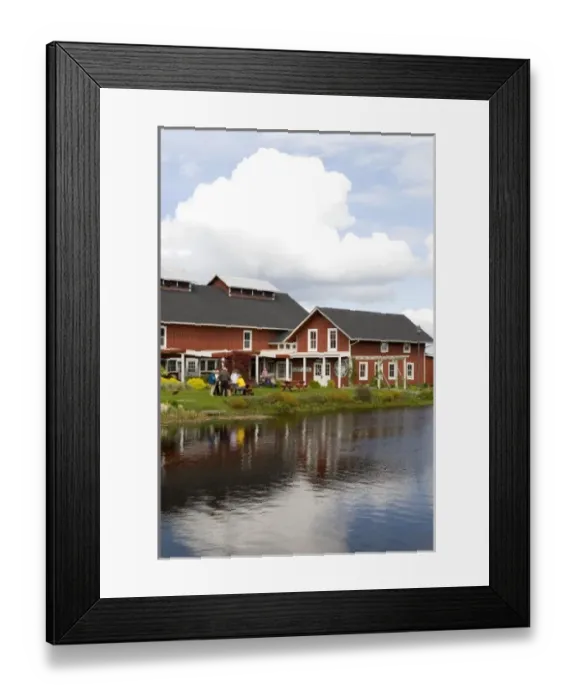 Framed Print : Greenbank Farms on Whidbey Island was largest loganberry producer in US. Now non