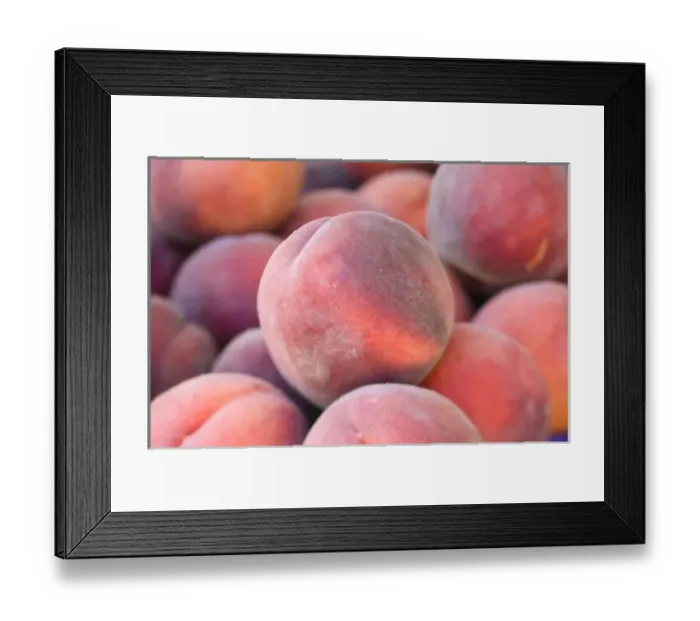 Framed Print : NA; USA; Washington; Chelan; Peaches (selective focus) Framed Print : NA; USA; Washington; Chelan; Peaches (selective focus)