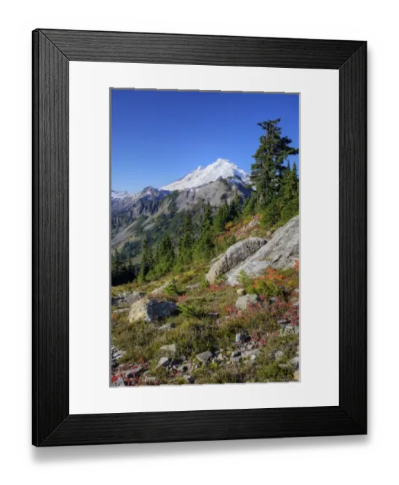 Framed Print : WA, Heather Meadows Recreation Area, view of Mt. Baker from Kulshan Ridge at Artist s Framed Print : WA, Heather Meadows Recreation Area, view of Mt. Baker from Kulshan Ridge at Artist s