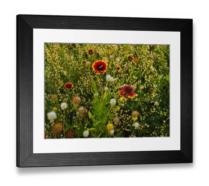 Framed Print : USA, North America, Washington